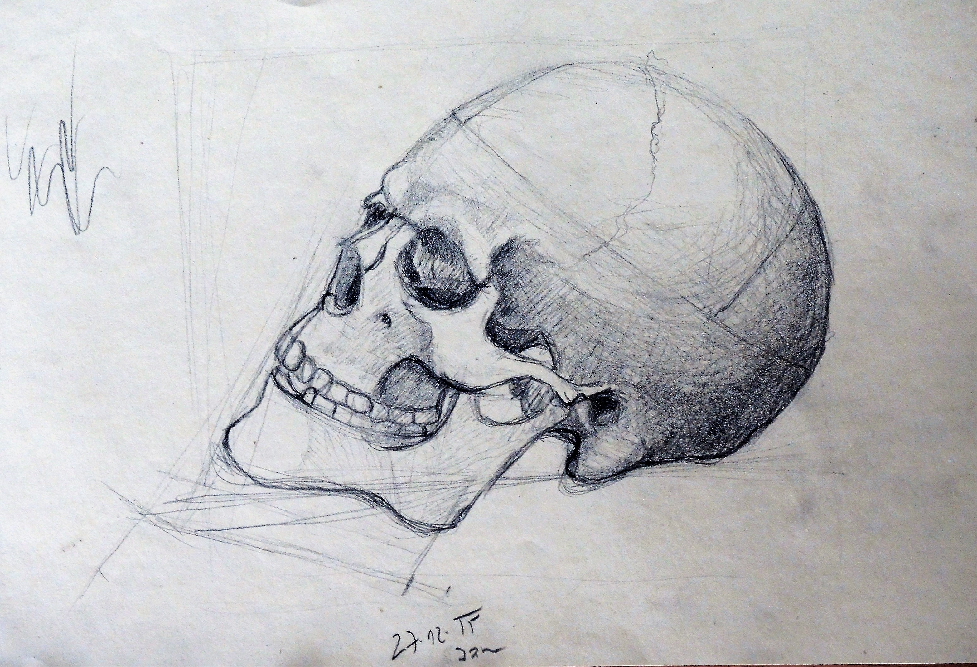 Studie lebky II